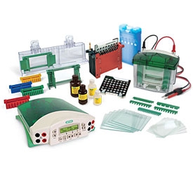 Vertical electrophoresis+mini blotting system+power supply
